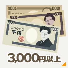 3000円以上