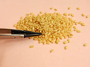 長岡式酵素玄米のツナアボガドサラダ巻き
