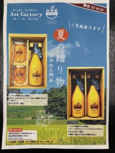 夏の贈り物　三ケ日みかん商品　Aセット